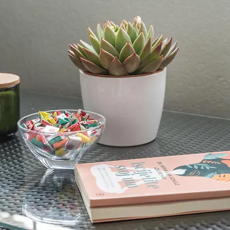 Doramia * Dubrovník